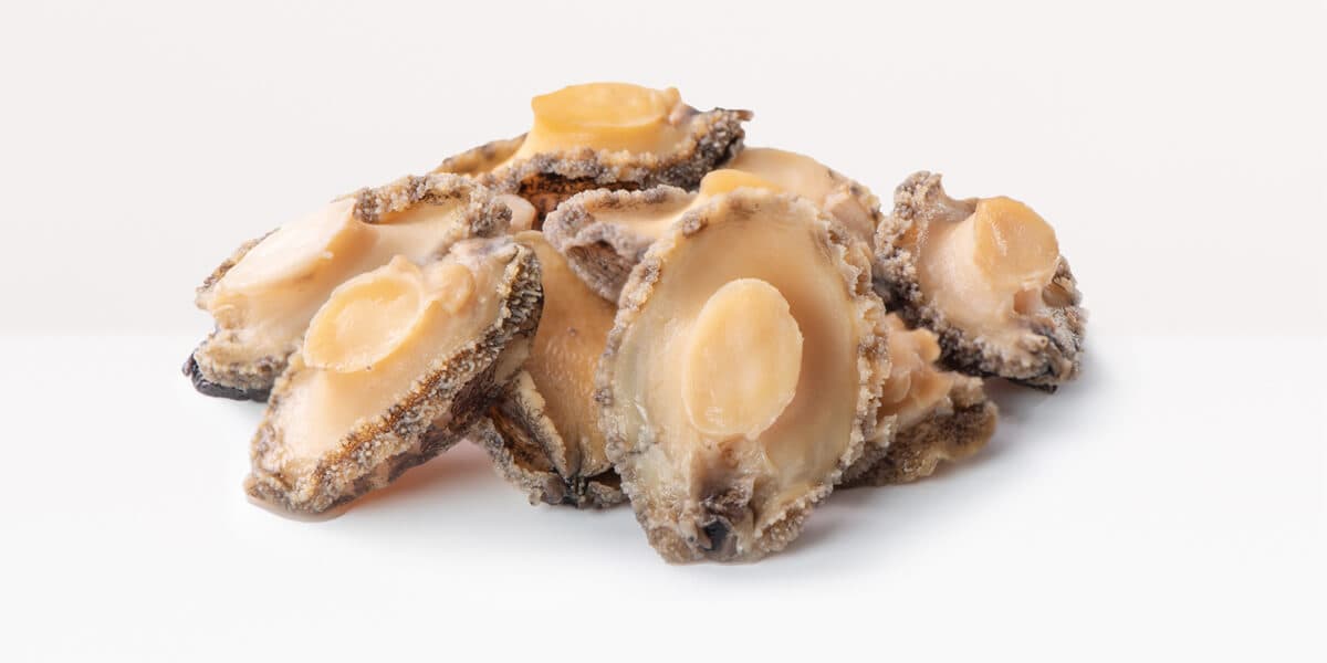 Abalone