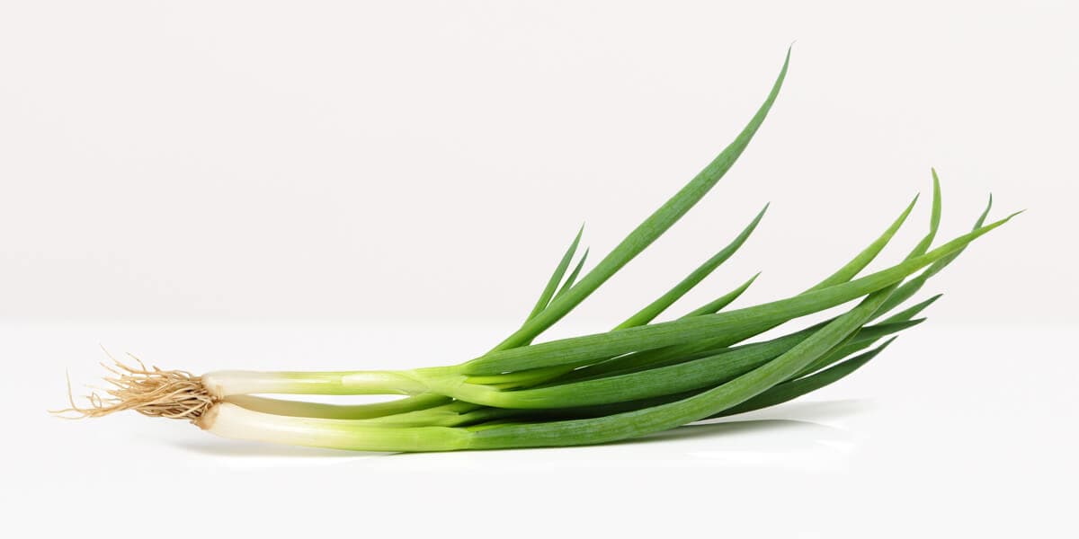 Scallions
