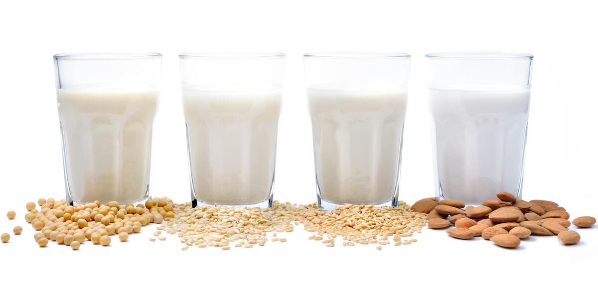 Vegetable milks