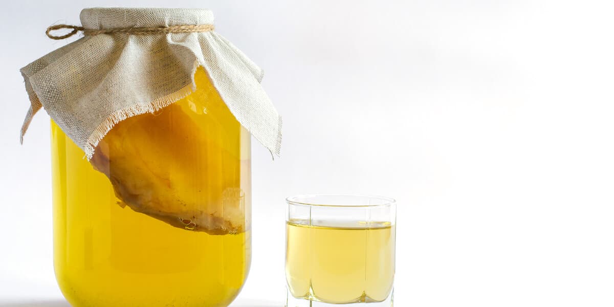 Kombucha