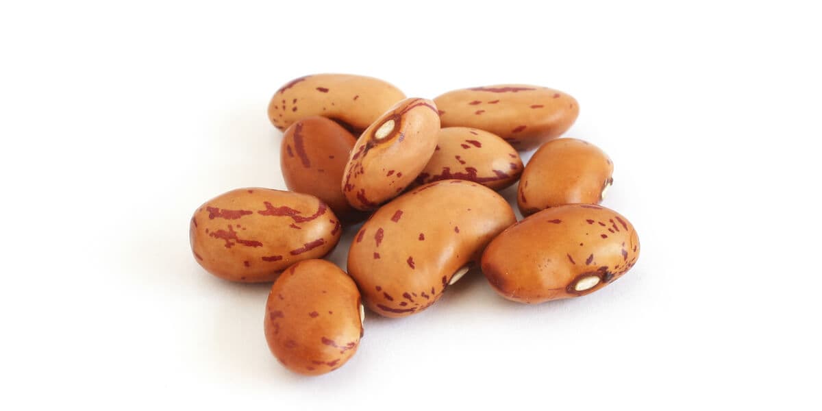 Pinto Beans