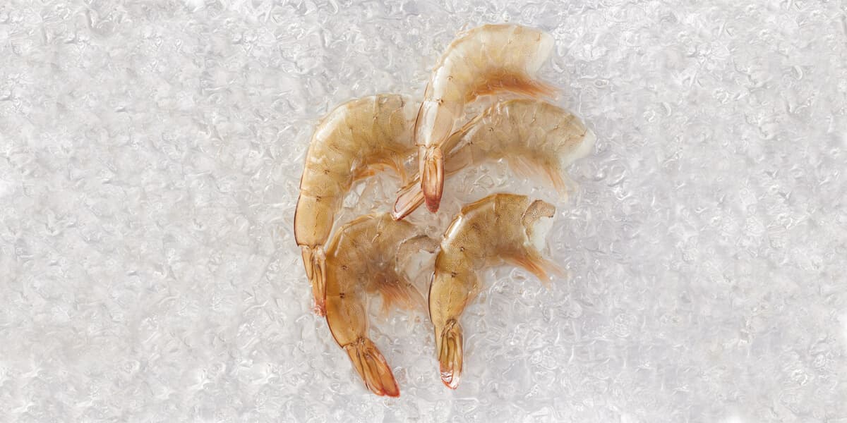 Shrimp