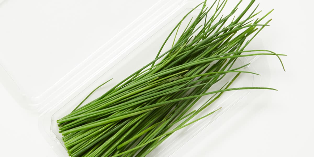 Chives